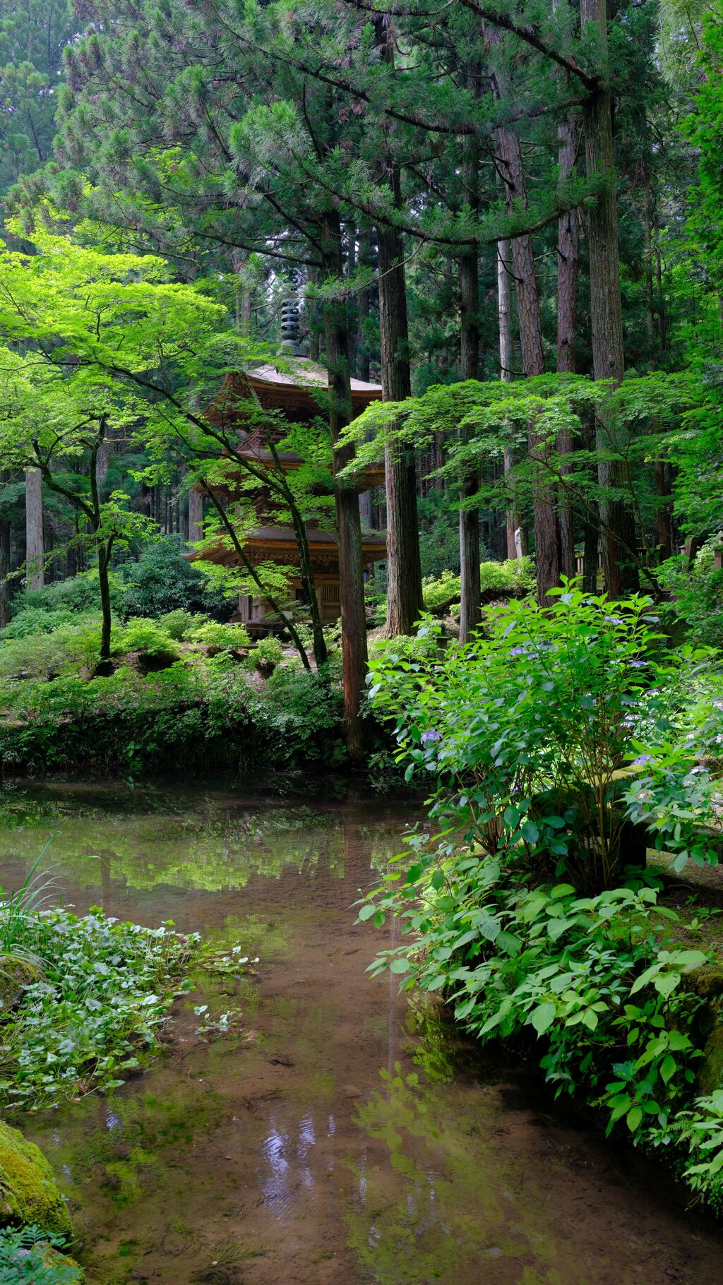 光前寺