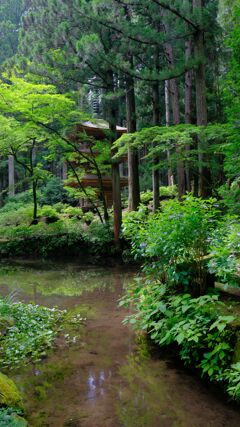 光前寺