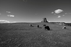 Devils Tower