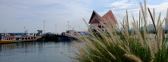 Ko Loi
