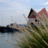 Ko Loi