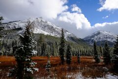 Yellow stone national park