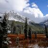 Yellow stone national park