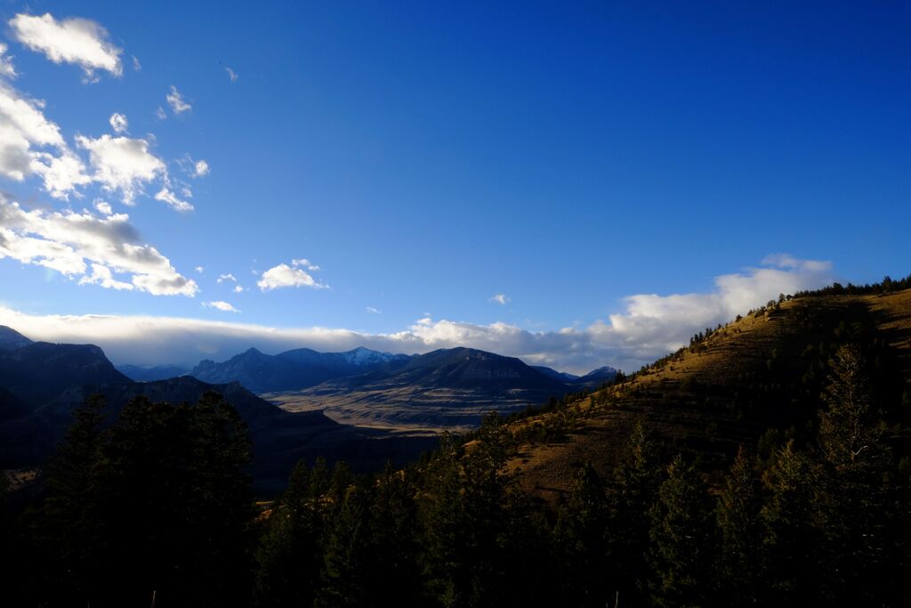 Yellow stone national park