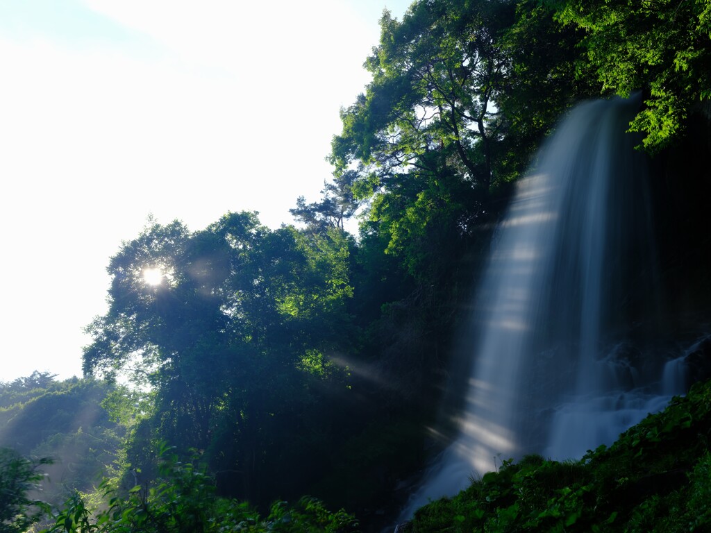 夏