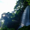 夏