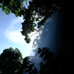 夏