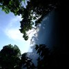 夏