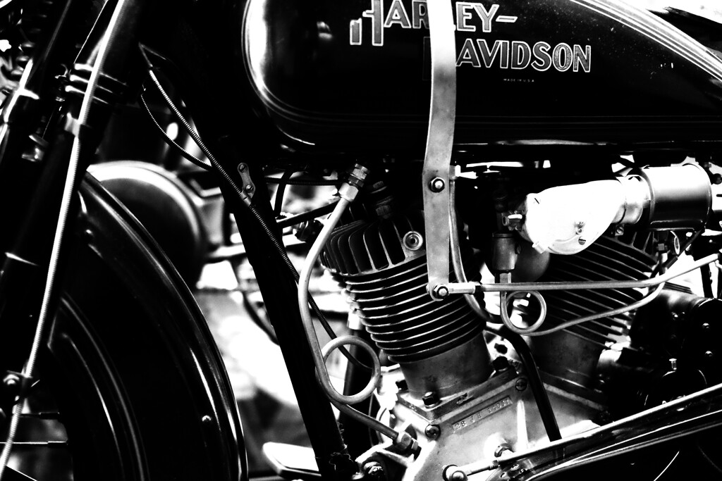 harley-davidson