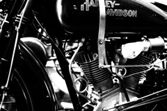 harley-davidson