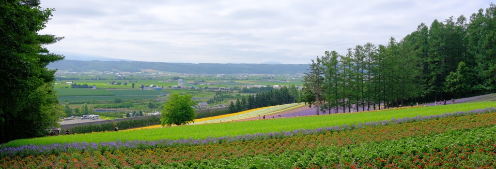 ファーム富田