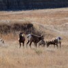 Badlands National Park