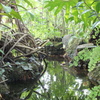 DSCF1579