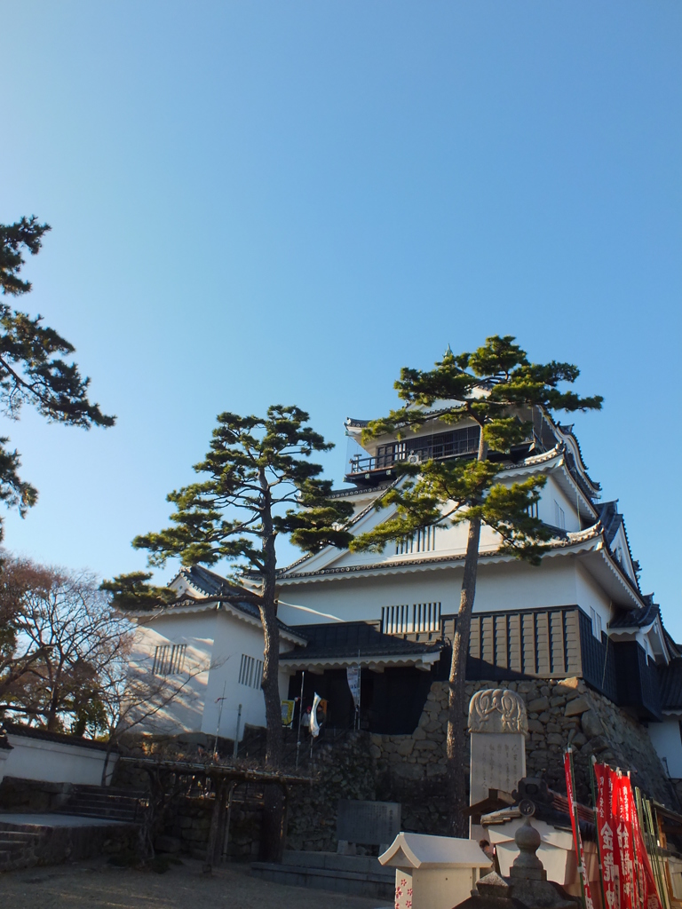 DSCF1266