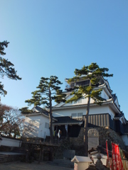 DSCF1266
