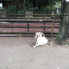 DSCF1975