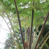 DSCF1566