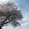 DSCF1288