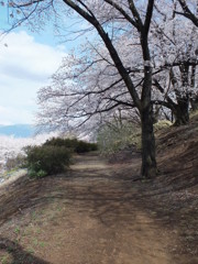 DSCF1293