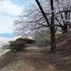 DSCF1293