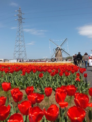 DSCF0717