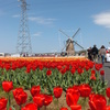 DSCF0717