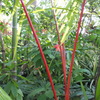 DSCF1578