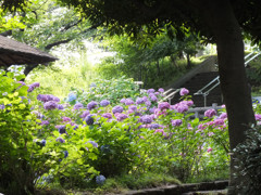 ２０１５年６月２０日　撮影会にて