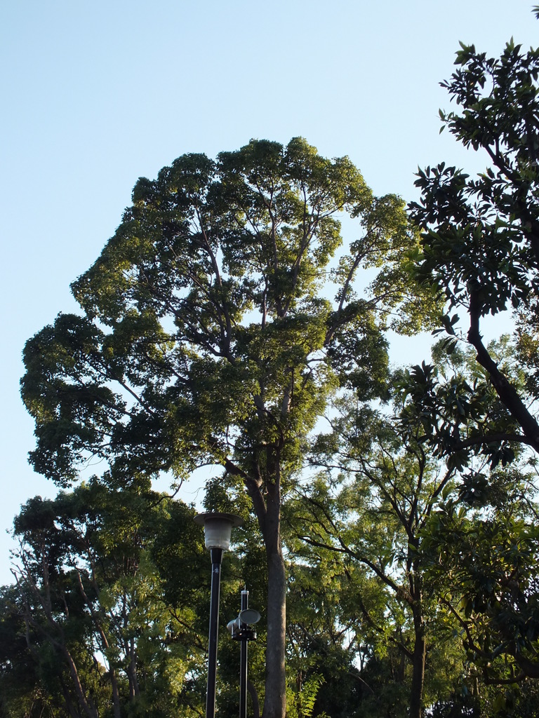 DSCF1640
