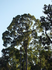 DSCF1640
