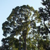 DSCF1640