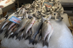 Central Market
