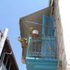 Hydra island