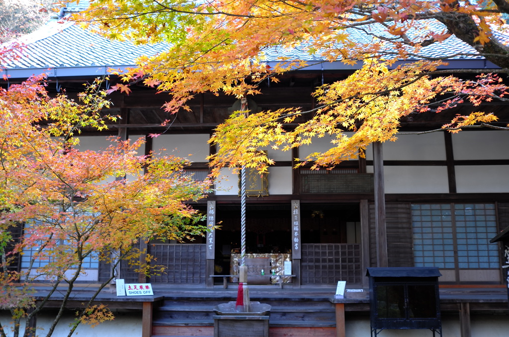 京都奈良の旅2