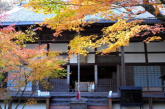 京都奈良の旅2