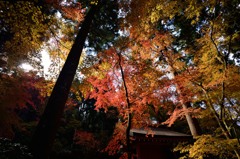 大原三千院 一