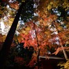 大原三千院 一