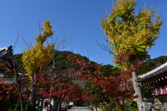 141124-29須磨寺