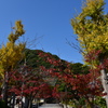 141124-29須磨寺