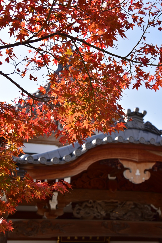 141124-30須磨寺