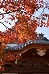 141124-30須磨寺