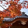 141124-30須磨寺