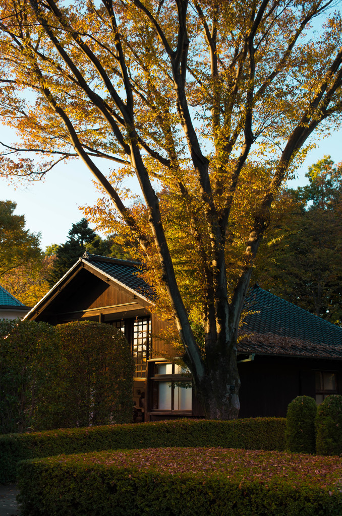 建物-園