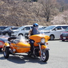 桜より目立ってます