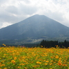 黄色い生駒高原～夷守岳