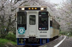 桜電車の到着