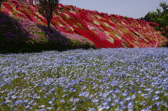 見とれる光景