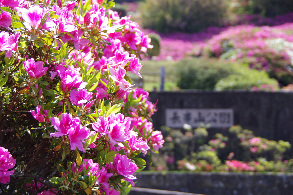 ようこそ長串山公園へ