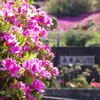 ようこそ長串山公園へ