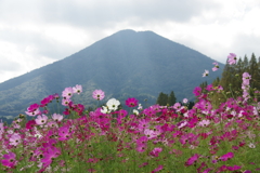 夷守岳を背景に